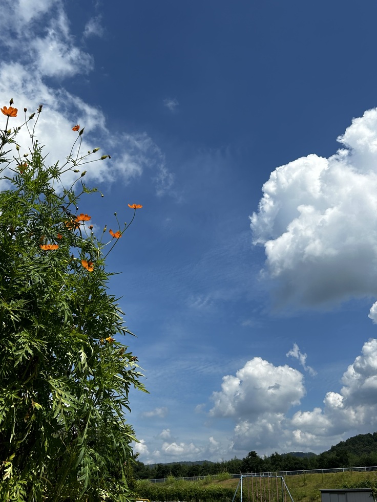 夏と秋が混ざってきた