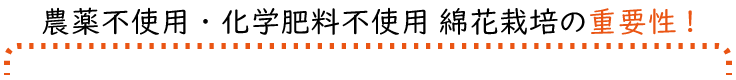 農薬不使用・化学肥料不使用  綿花栽培の重要性!