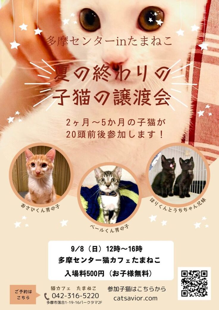 保護猫譲渡会のポスター（キャットセイビア様作成）
