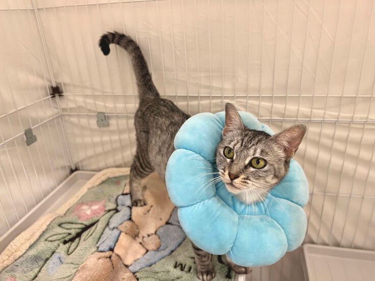 東京シェルターシェアリング神田神保町に入所した時