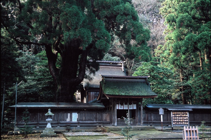 若狭姫神社