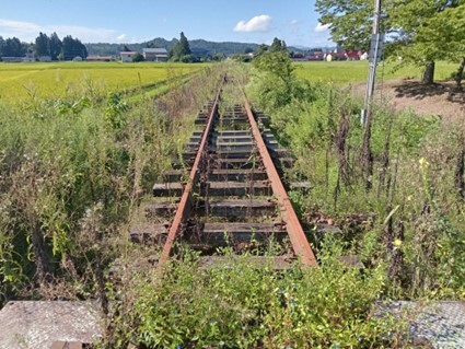 雑草の覆われた鉄路