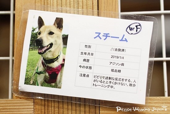 ある日突然、アジソン病と診断されました