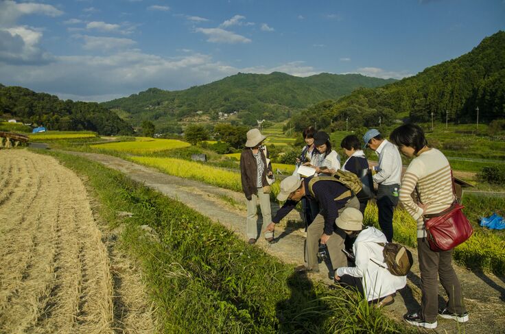 万葉植物の勉強会