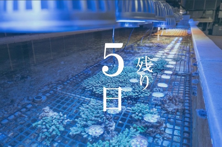 残り5日.jpg