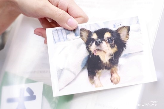 「プラット」に家族を繋いだ「エア」