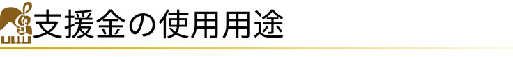 支援金の使用用途