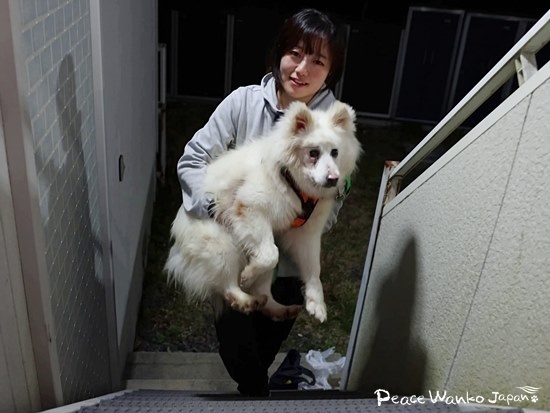 怖くて上れない階段は、抱っこしてもらいました