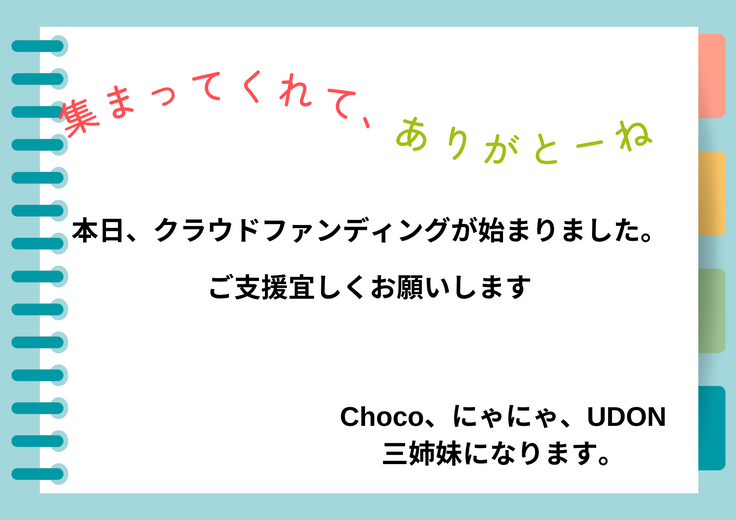 Chocoを救いたい！ 命を救うための支援をお願いします (1).png