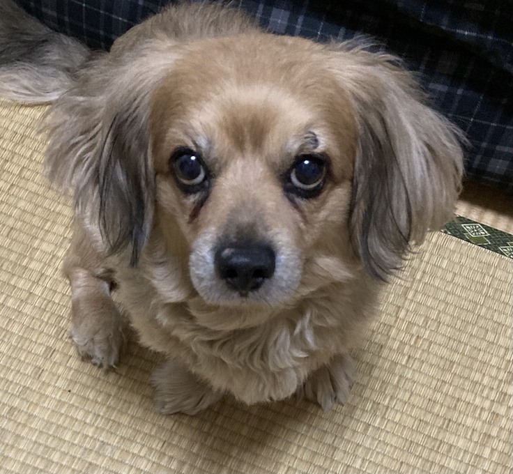 2024-10-01 22.04.jpeg