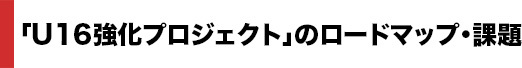 ロードマップ・課題