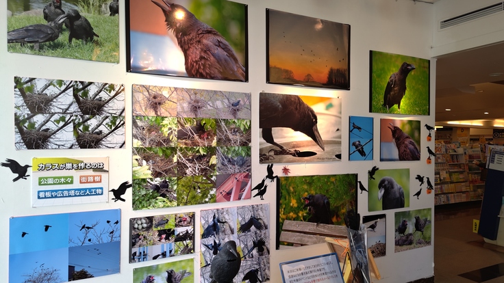 2024-10-17 12.29.08.jpg