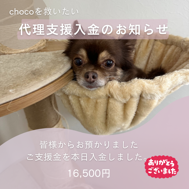 代理支援 入金のお知らせ.png