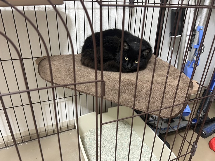 エイズキャリア