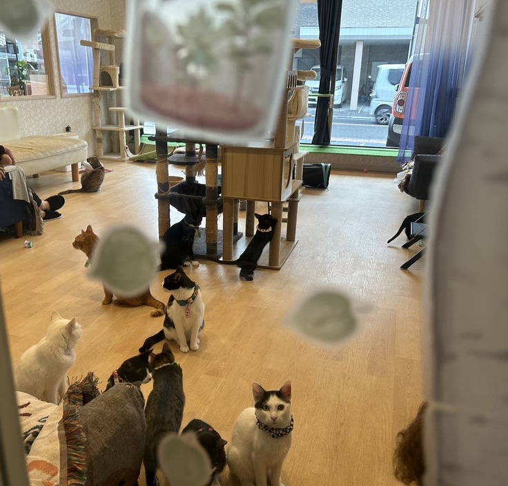 室内の様子を外から撮影