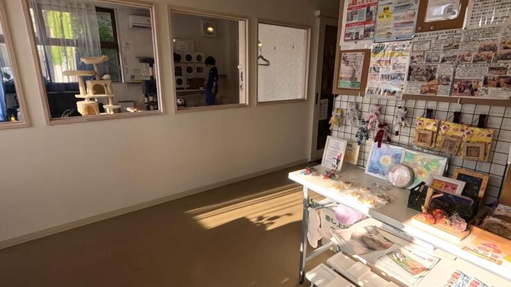 猫とのふれあいの場
