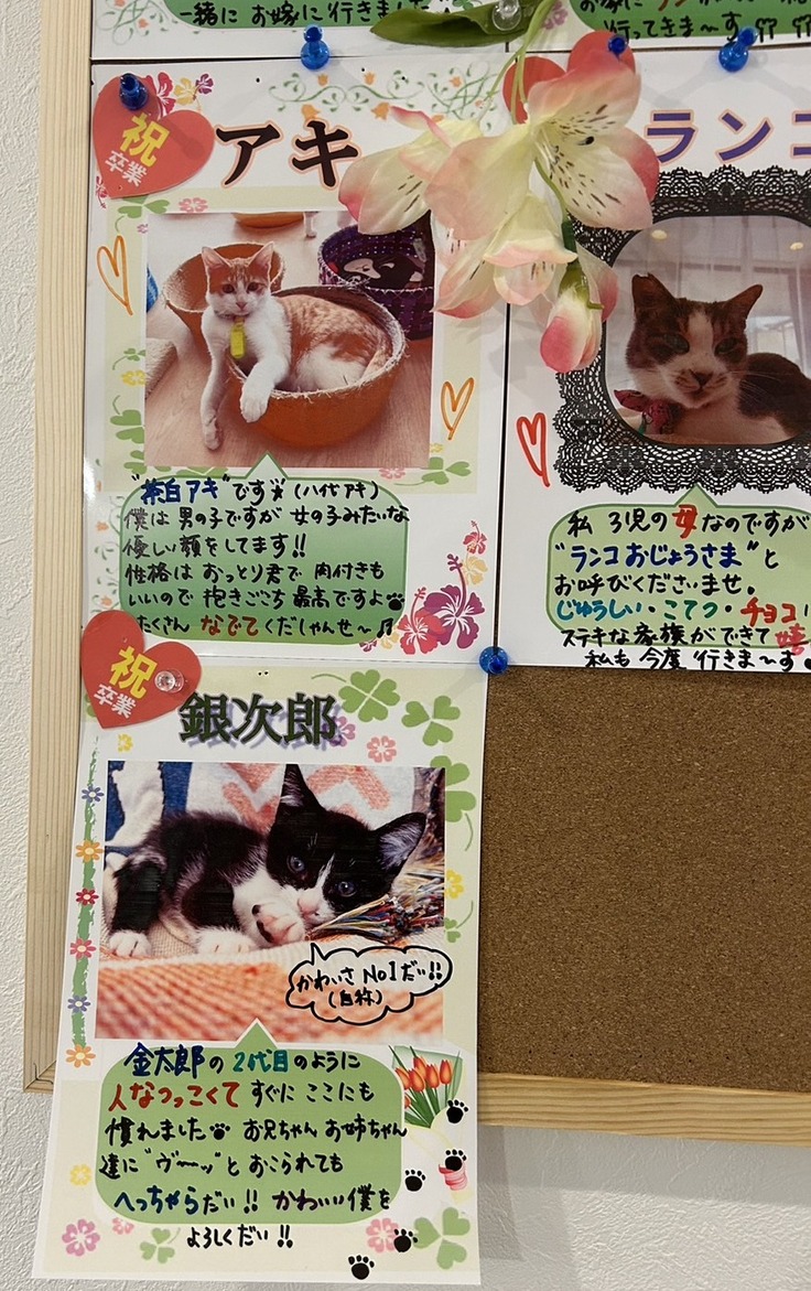 新たな家族のもとへ