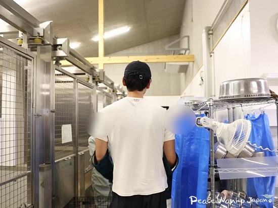 動物愛護センターの職員から「咬傷犬」のトイプードルの保護を依頼されました