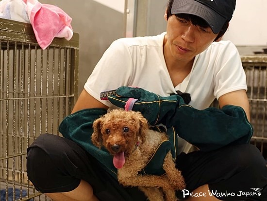 抱っこが怖くて震えていました