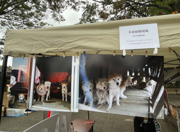 スクリーンショット 2024-11-03 21.46.35.png