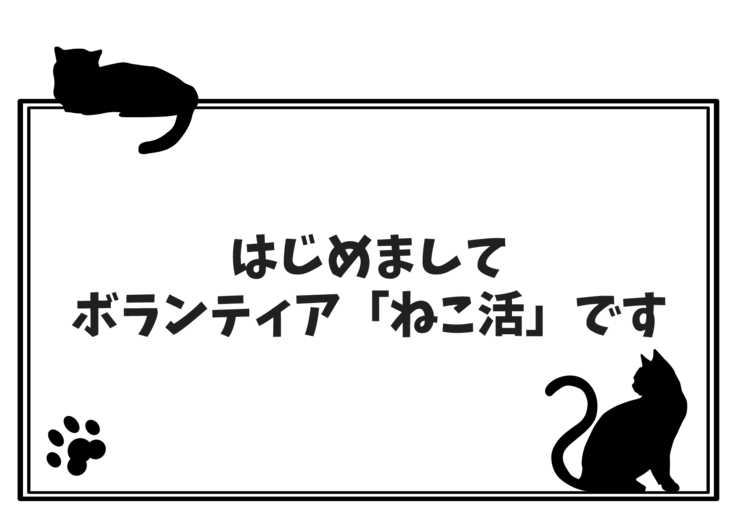 はじめましてボランティアねこ活です