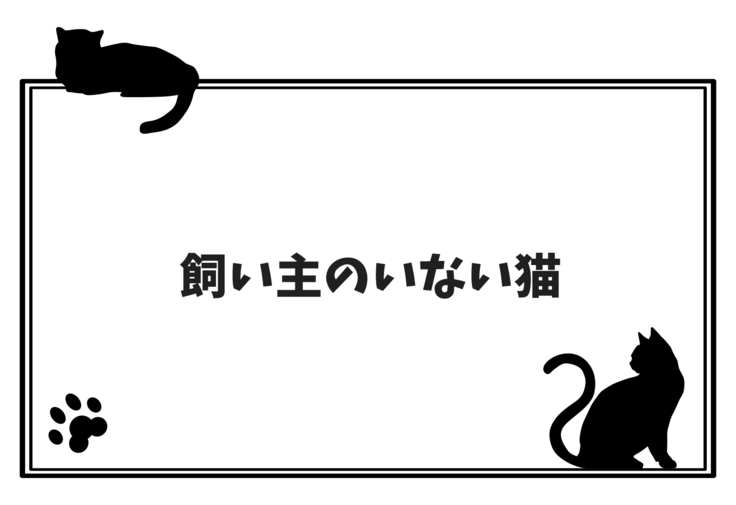 飼い主のいない猫