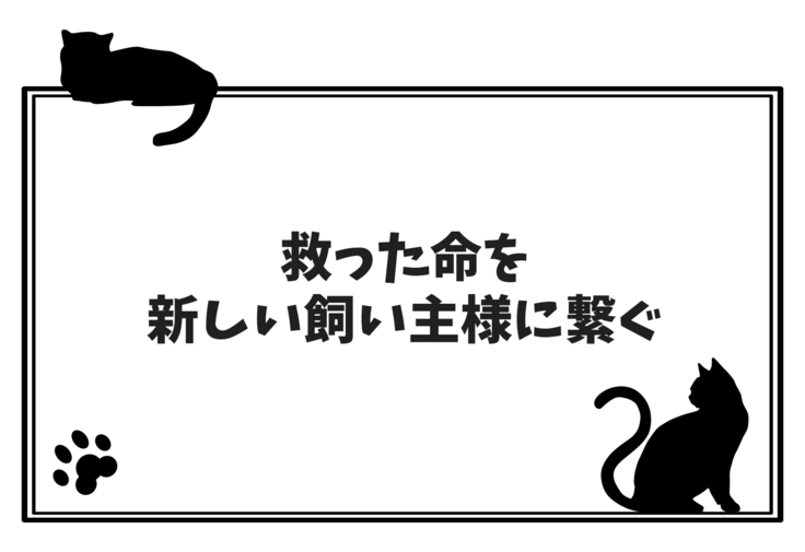 救った命を新しい飼い主様に繋ぐ