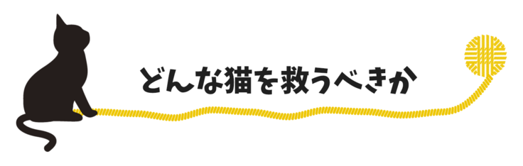 どんな猫を救うべきか