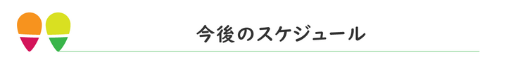 今後のスケジュール