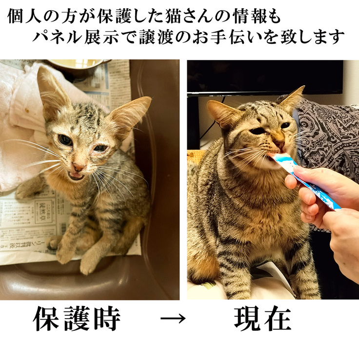 名称未設定 1.jpgsだ.jpg