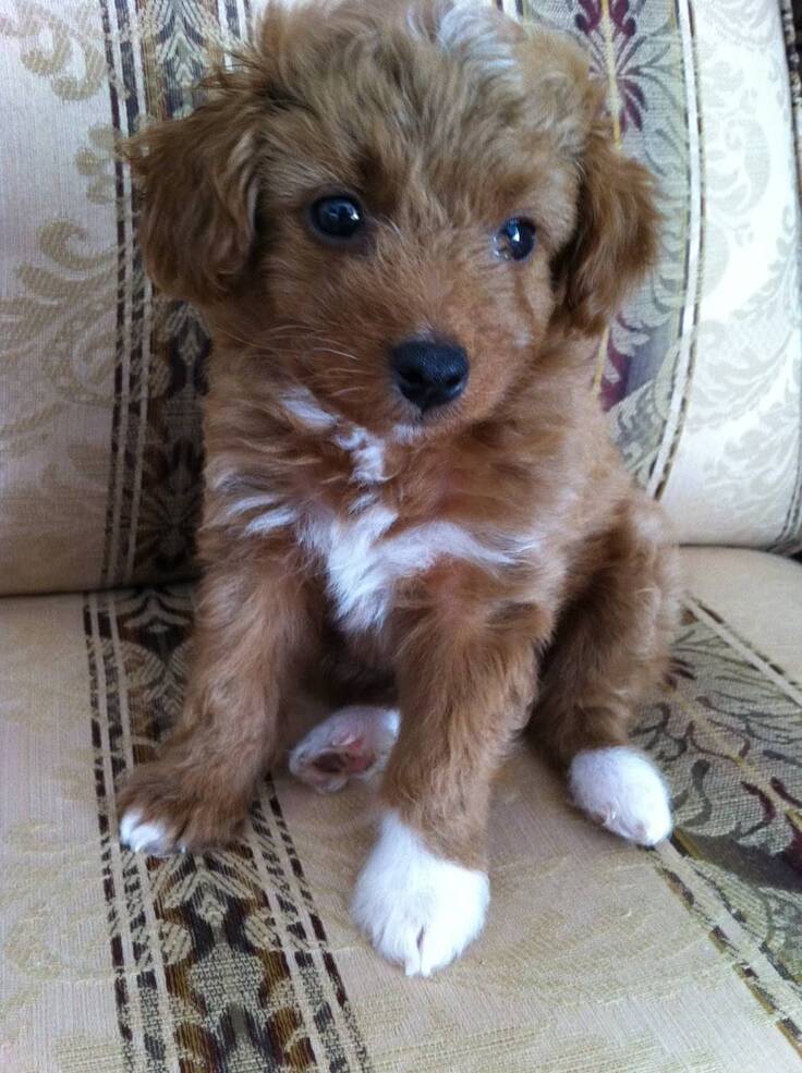 赤ちゃんのころ