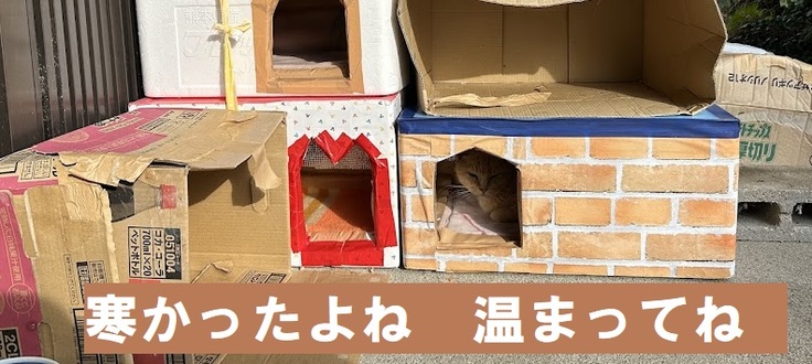 飼い主がいなくなり　寒空の下　外で体調を崩す子