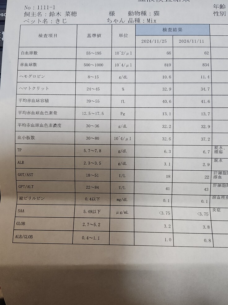 検査結果(11/25）