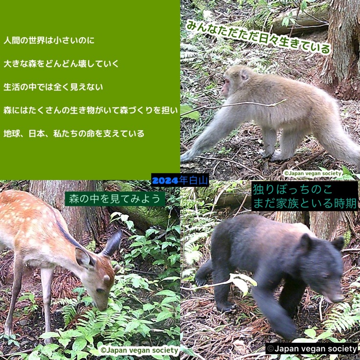 みんなで山の中を見よう！