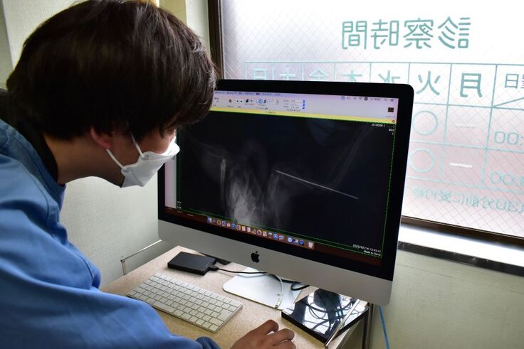 レントゲン診断 (1).JPG