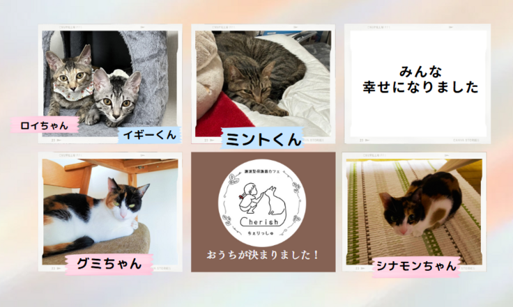 10月度譲渡報告