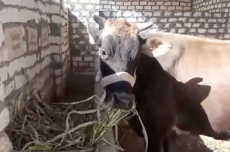 スクリーンショット 2024-12-05 18.47.45.png