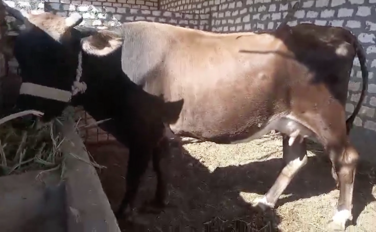 スクリーンショット 2024-12-05 18.47.59.png