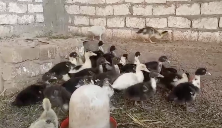 スクリーンショット 2024-12-05 18.50.32.png