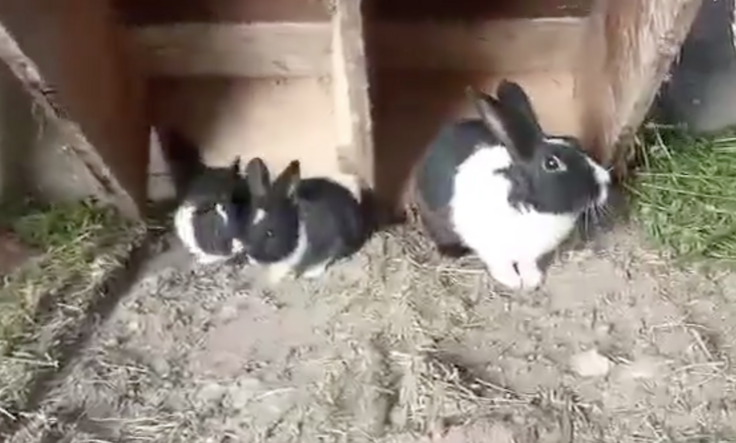 スクリーンショット 2024-12-05 18.50.58.png