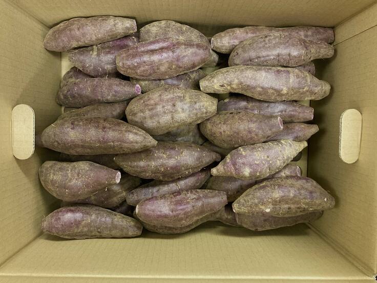 てぃんぬ紫®︎