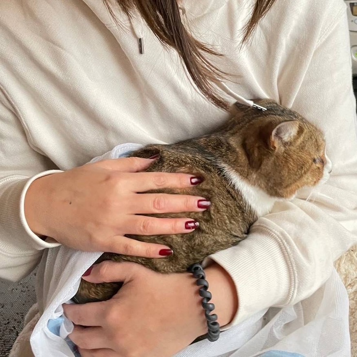 抱っこできた！風の一瞬を切り取った奇跡のショットがこちらｗ