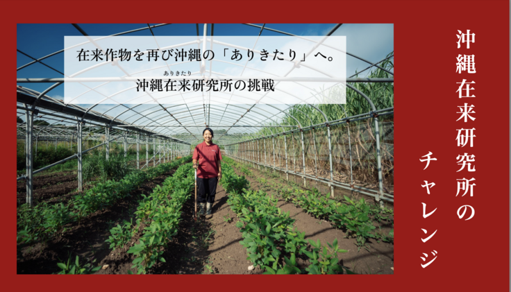 沖縄在来研究所クラウドファンディング