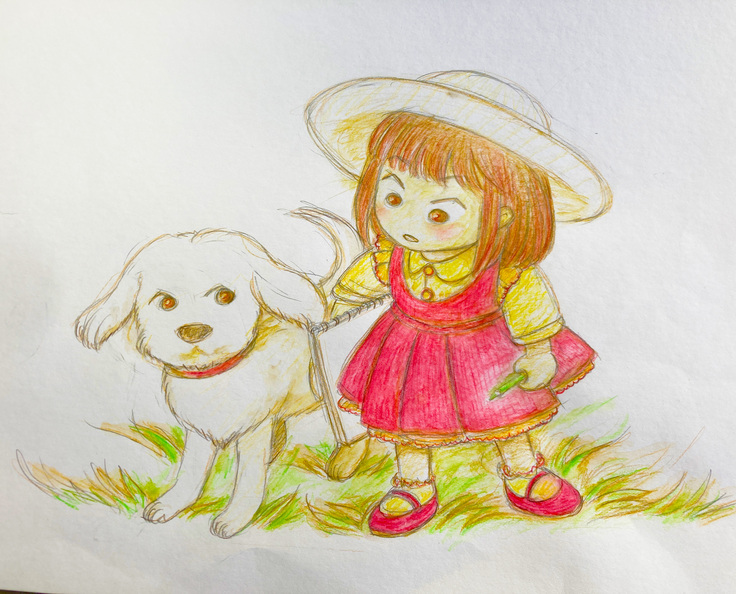 「白い犬練習画