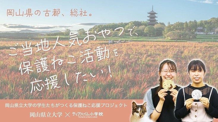 前回のコラボクラウドファンディング