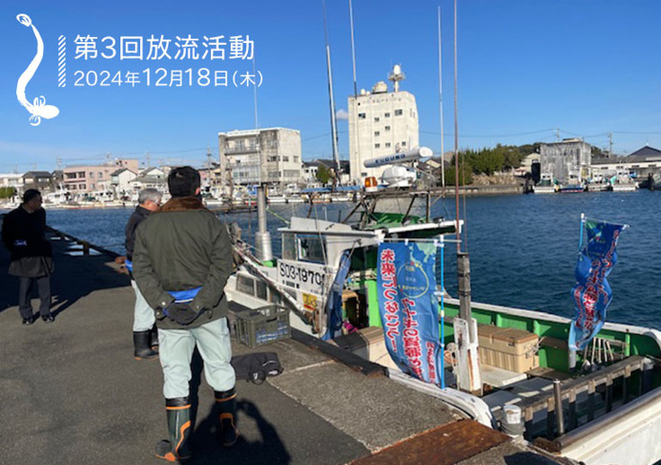 親うなぎ放流活動の様子