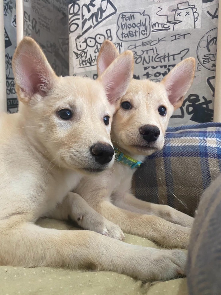 主人公の二人です。