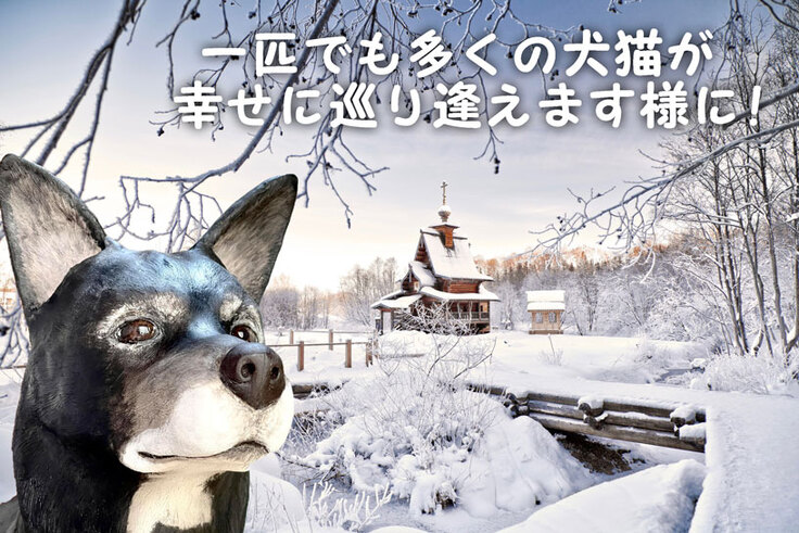 一匹でも多くの犬猫が幸せに巡り逢えます様に!