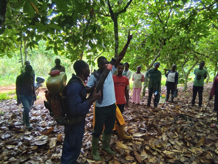 農薬の散布方法について講師から説明を受けるカカオ農家