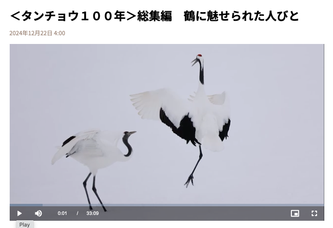 スクリーンショット 2024-12-24 20.18.38.png